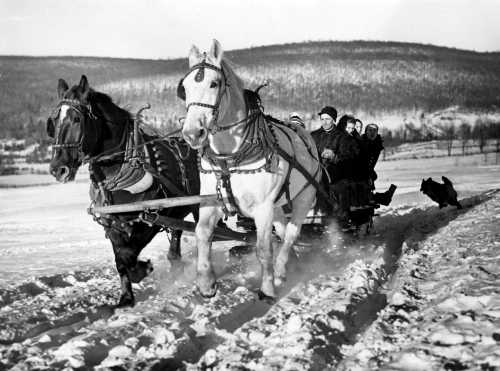 A. Aubrey Bodine's 'The Winter Sports Move South' Captures 1937 Skiing in Deer Valley