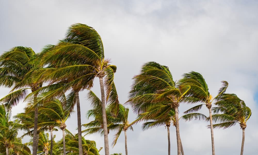 Commercial Real Estate Underwriting's 'Stable NOI' Assumption Fails Hazard Stress Tests, Risk Expert Warns