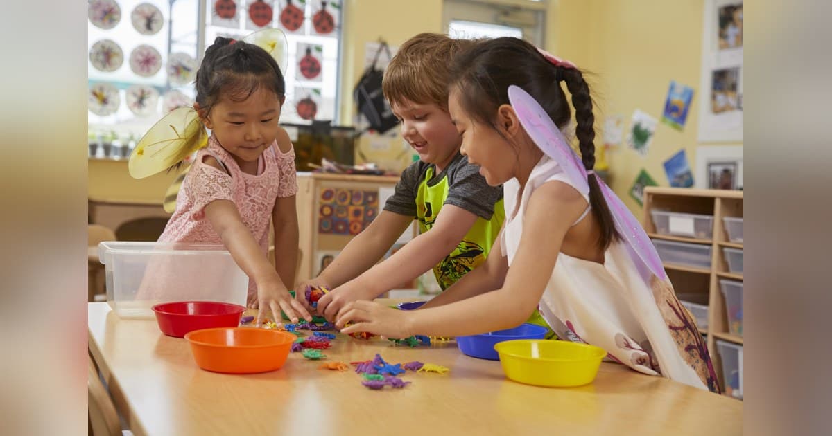 The Hidden Curriculum of Pre-K: Social Skills That Fuel Kindergarten Success