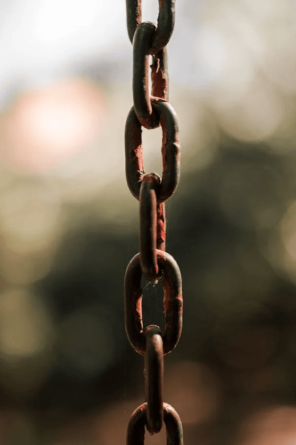 LSA SEO Agency Highlights the Role of Backlinks in South African SEO Growth