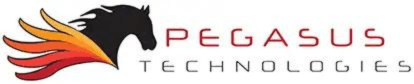 Pegasus Technologies Outlines Data Protection Standards for Legal Practices