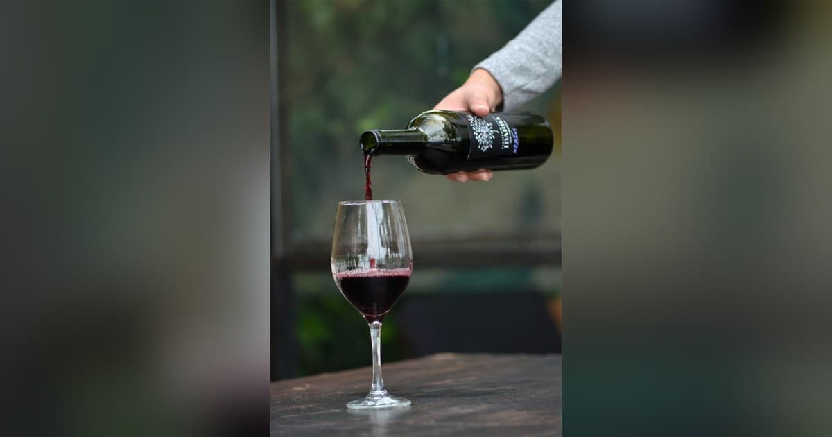 10Musica Releases Updated Wine Calorie Guide Ahead of Holiday Season