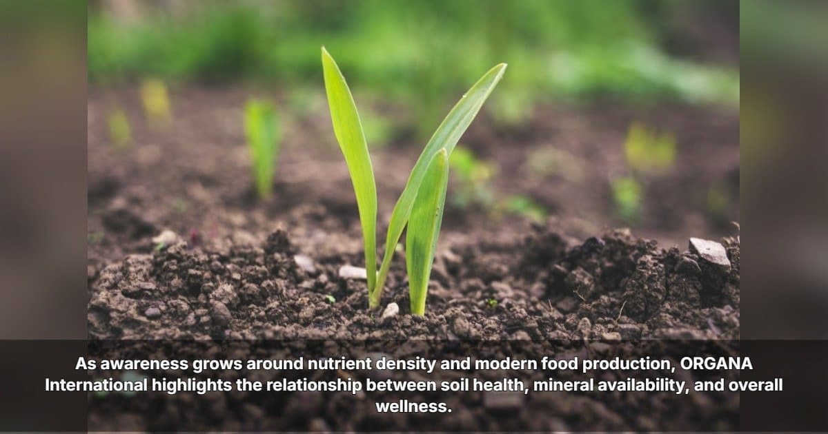 ORGANA International Highlights the Link Between Soil Health and Human Nutrition